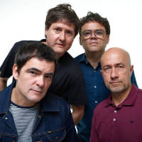 Biografia de Skank
